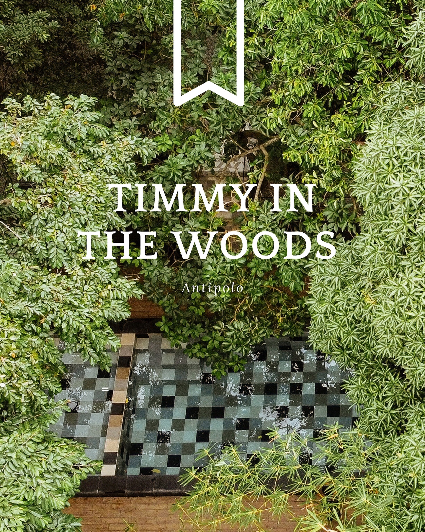 A beautiful forest wedding venue with sophisticated lighting